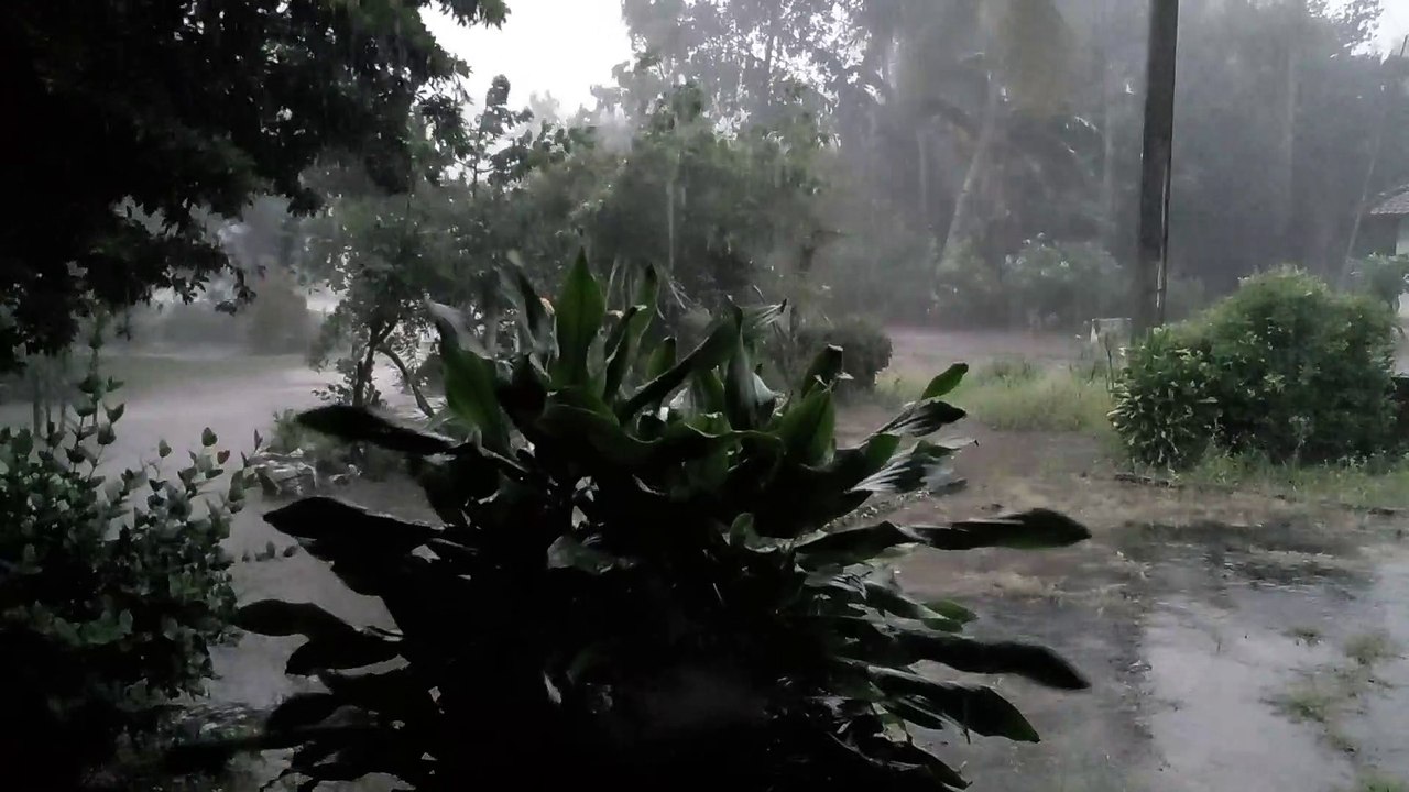 Rain's