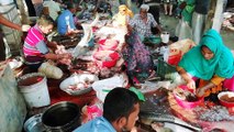 Missive and Incredible and Amazing large scale Fish Cutting Video In Fish Market