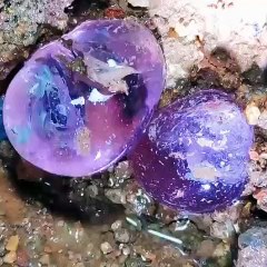 Hunting for diamonds in the cave under the volcano. amethyst