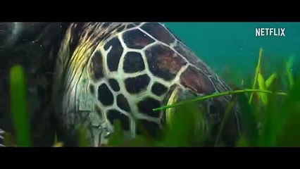 Our Universe Saison 1 - Trailer (EN)