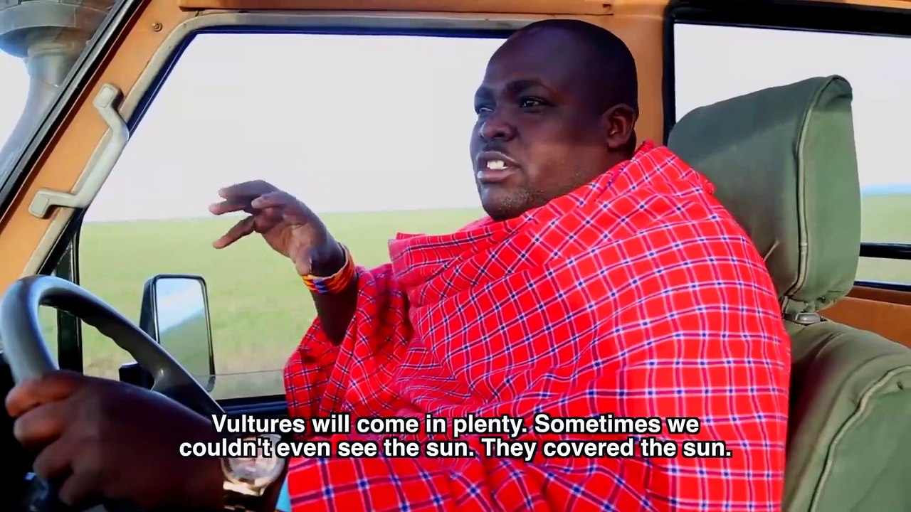 Giving Nature A Voice - Vanishing Vultures - A Race Against Time