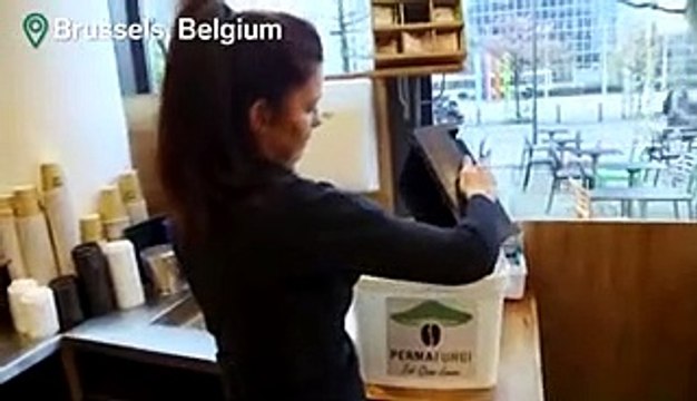 How underground farms grow mushrooms in coffee grounds