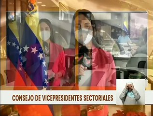 Consejo de Vicepresidentes Sectoriales evalúa la Operación Roraima 2022 y afectados por lluvias