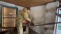 Russian zookeeper appears to steal raccoon from Ukrainian zoo as troops flee Kherson