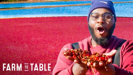 How Your Holiday Cranberries Are Actually Harvested + How To Properly Use Them