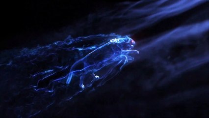 Viboos Smart Body Scale (Review)