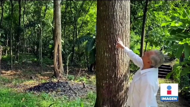 López Obrador agradece felicitaciones por su cumpleaños número 69