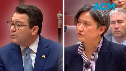 Liberal senator Dean Smith and Labor senator Penny Wong reaction to the marriage equality result in 2017