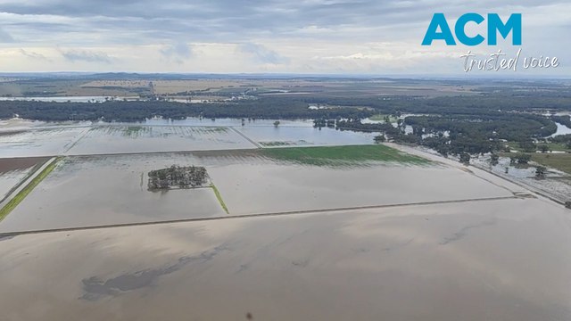 NSW floods: Sandbagging operations in Condobolin, NSW
