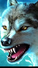 Monster animals transformation animals grow up tik tok