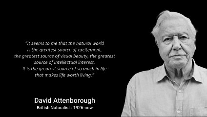 David Attenborough Quotes For All People | Motivational Quotes Hello World