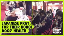 Japanese pray for their robot dogs' health | Next Now