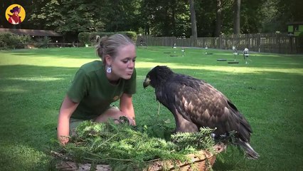 50 Dangerous Animals Caught Being Friendly