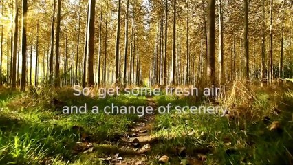 Simple Ways to Turn a Bad Day Around 😊