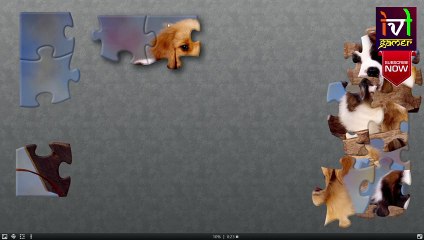Dog - 4K Jigsaw Game - #jigsawpuzzle #gameplay #4k #labrador #saintbarnard #goldenretriever