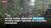 Pengendara Motor Tewas Tertimpa Pohon Karet Oblong di Cikidang Sukabumi