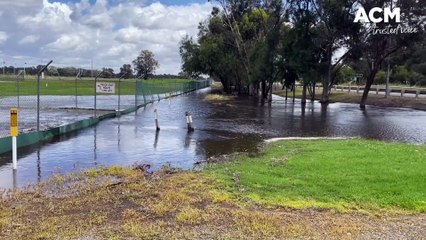 Corowa Wahgunyah floods | November 14, 2022 | The Border Mail
