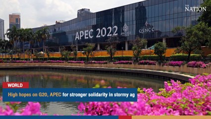 High hopes on G20, APEC for stronger solidarity in stormy age | The Nation