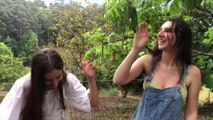 Living in a Huge 60-Year-Old Permaculture Food Forest! Gardening, Foraging and Cooking Tour