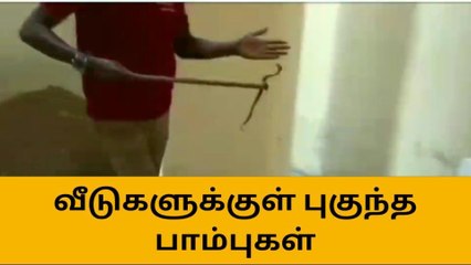 வீடுகளுக்குள் பாம்பு புகுந்தால் உதவிட தயார் நிலையில் வனத்துறை