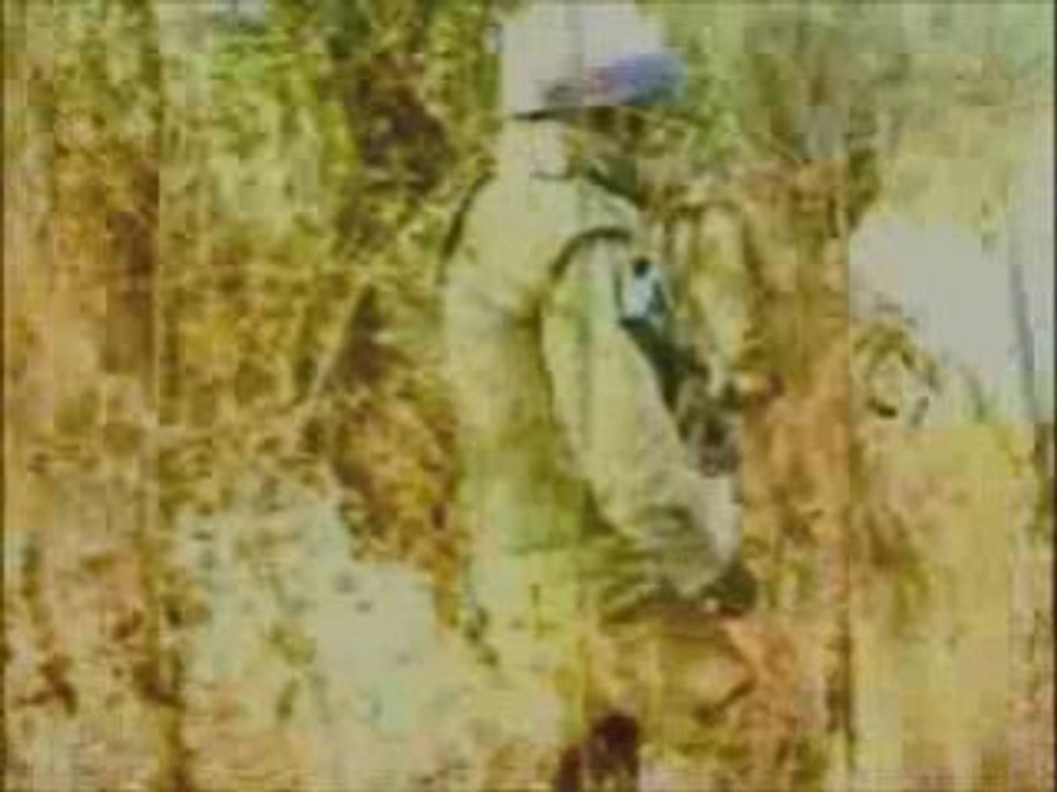 Tsahal - צבא הגנה לישראל