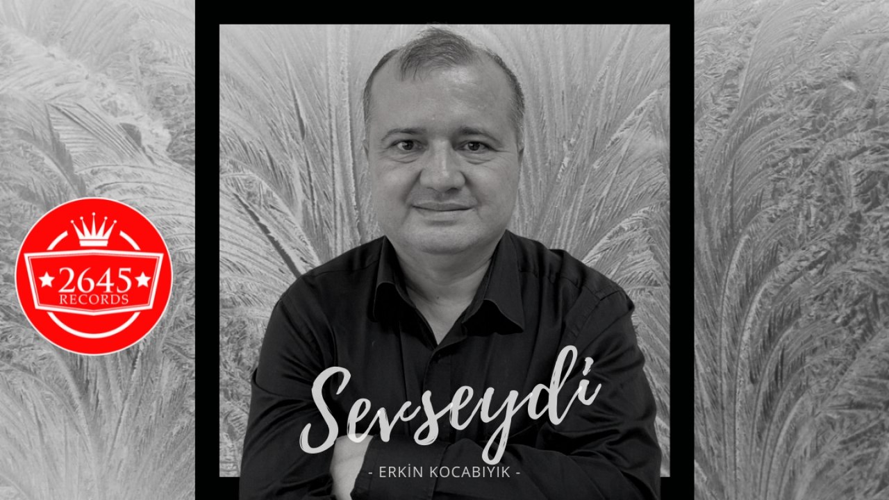 Erkin Kocabıyık - Sevseydi