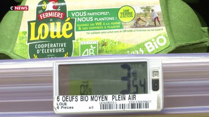 Inflation : le prix des œufs en forte hausse