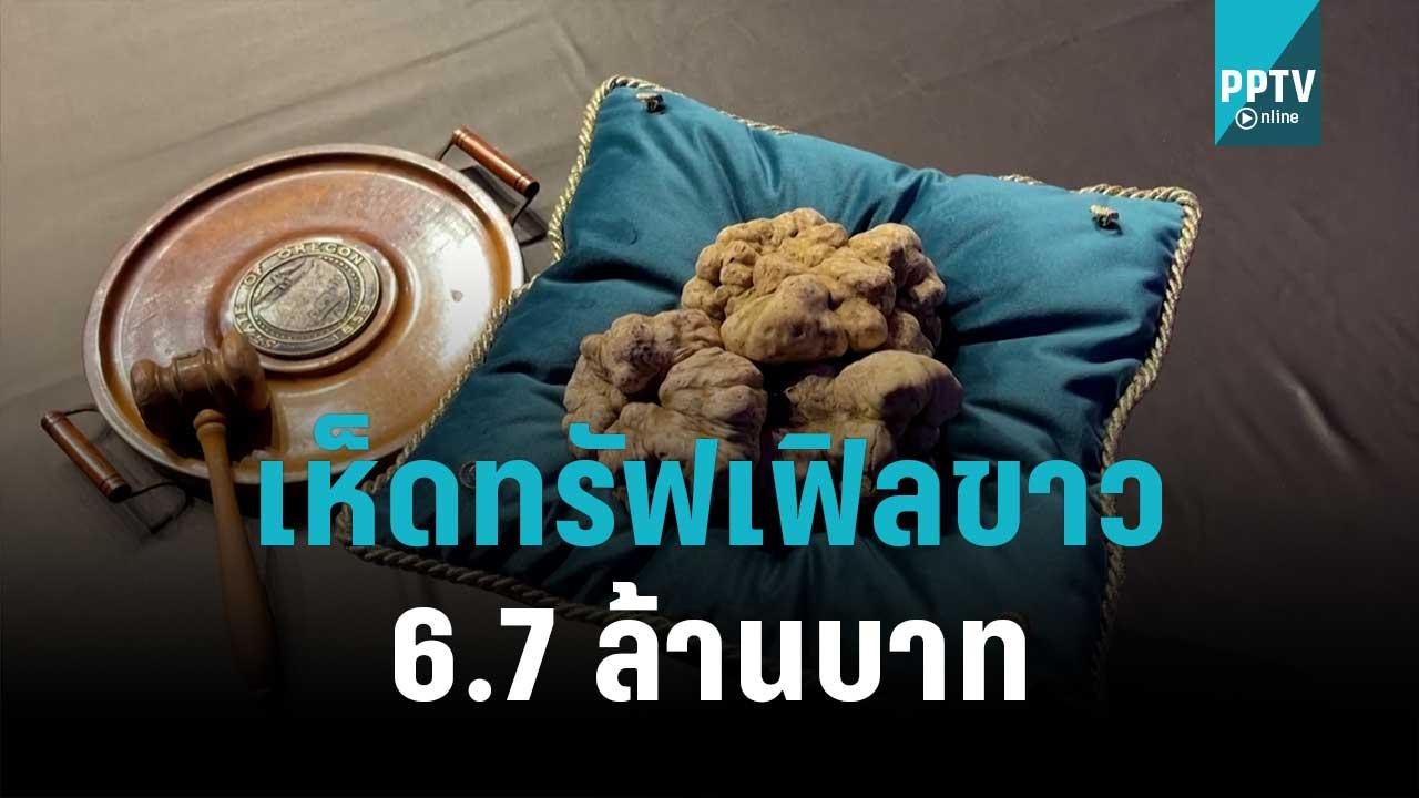 อิตาลีประมูลเห็ดทรัฟเฟิลขาว 6.7 ล้านบาท | เที่ย...