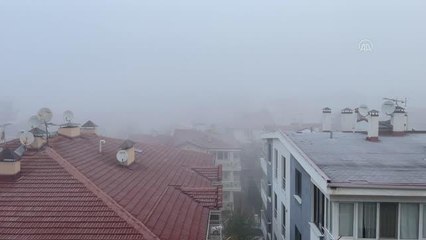 ESKİŞEHİR - Soğuk hava, sis ve buzlanmaya neden oldu