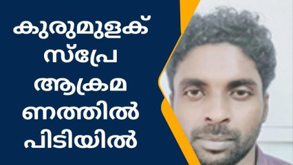 കുരുമുളക് സ്പ്രേ ആക്രമണത്തിൽ ഒരാൾ കൂടി പിടിയിൽ