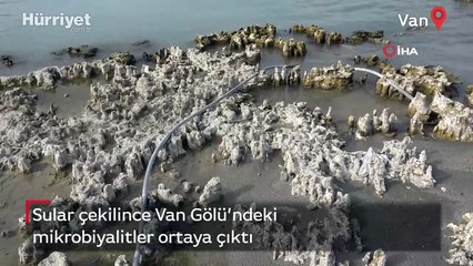 Van Gölü'nde sular çekildi, mikrobiyalitler ortaya çıktı