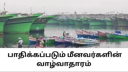 குளச்சல்: மீன்பிடிக்க செல்லாததால் வாழ்வாதாரம் பதிப்பு