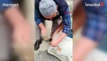 Fatih'te lavabo deliğine sıkışan kediyi inşaat işçileri kurtardı