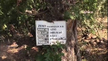 Kütahya’da altın madeni için kesilen ağaçlar böyle görüntülendi