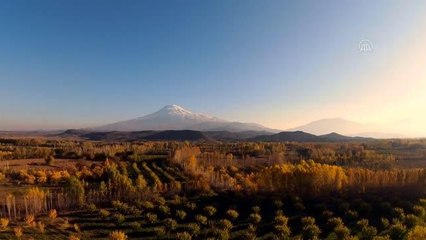 İrem Bağları'nda sonbahar renkleri FPV dron ile görüntülendi