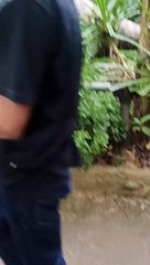 Menikmati Keindahan dan Petualangan di Taman Legenda 🌳