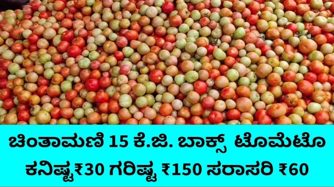 ಚಿಂತಾಮಣಿ : ಏರಿಕೆಯಾಗದ ನಾಟಿ ಟೊಮ್ಯಾಟೊ ಬೆಲೆ