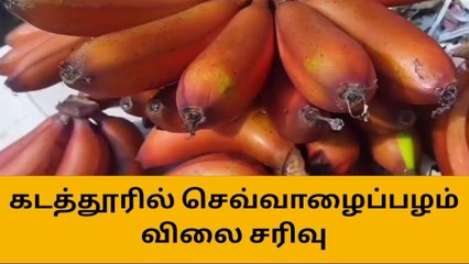 கடத்தூரில் இந்த பழம் விலை குறைவு
