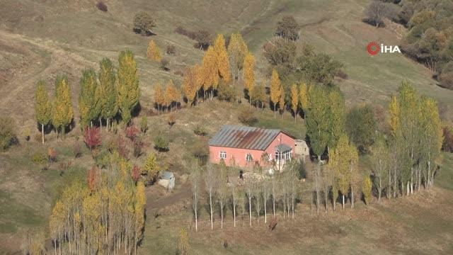 Muş'ta karlı dağlarla birleşen sonbahar güzelliği hayran bırakıyor