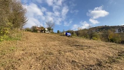 ZONGULDAK - Şehir stresinden kaçan çift, dededen kalma arazide aronya yetiştiriyor