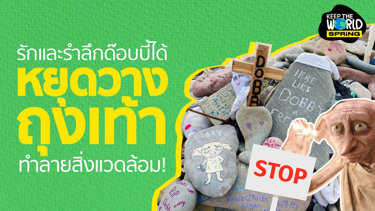ด็อบบี้เป็นอิสระแล้ว "อย่าทำลายสิ่งมีชีวิตจริงเพื่อรำลึกคาแรคเตอร์ในจินตนาการ" | SPRiNG