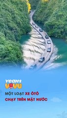 Một loạt xe ô tô chạy trên mặt nước