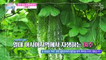 당뇨 예방과 혈당 관리에 도움을 주는 『 여주 』 TV CHOSUN 221115 방송