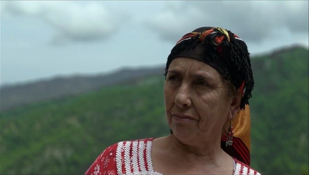 Rêve Bande-annonce VO