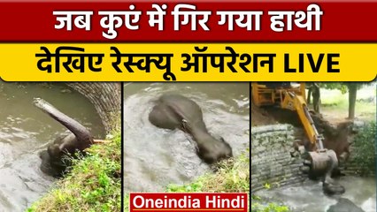 Well में गिरा Elephant का बच्चा, कड़ी मशक्कत के बाद निकाला बाहर, देखिए | वनइंडिया हिंदी | *News