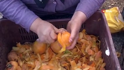 Dört bir yandan talep geliyor Sadece 2 hafta bekletene 10 kat kâr