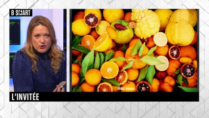 SMART IMPACT - Emission du mardi 15 novembre