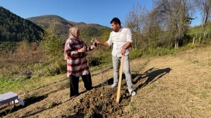 Dededen kalma araziyle aronya üreticisi oldular