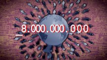 La población mundial alcanza los 8 mil millones de personas