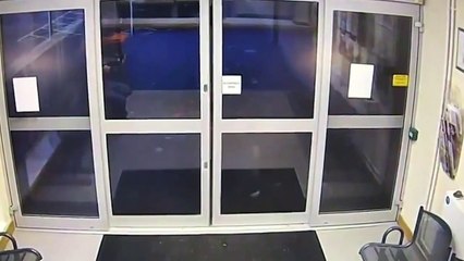 CCTV captures the astonishing moment a lost dog wanders into a police station